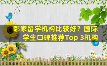 哪家留学机构比较好？国际学生口碑推荐Top 3机构